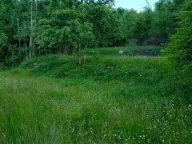 Prodaja, plac, 3516m², Cetinje, Crna Gora - image 4