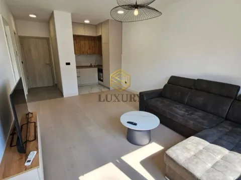 Izdavanje, jednosoban stan, 44m², Krivi Most, Podgorica - image 4