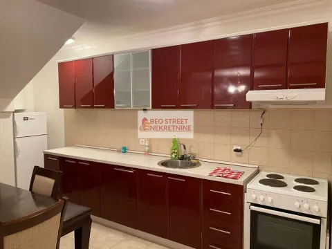 Izdavanje, jednosoban stan, 55m², Zvezdara Sve Podlokacije, Beograd - image 9
