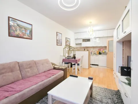 Prodaja, jednosoban stan, 44m², Stari Aerodrom, Podgorica - image 10