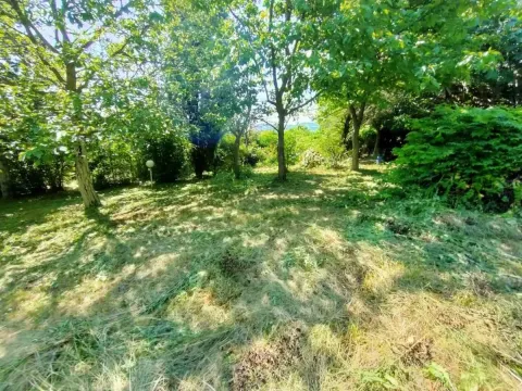 Sale, land lot, 1500m², Bocke, Petrovaradin - image 4