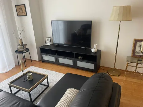 Izdavanje, jednosoban stan, 47m², Vezirov Most, Podgorica - image 9