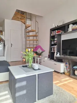 Sale, two bedroom apartment, 48m², Telep, Novi Sad Sve Podlokacije - image 4