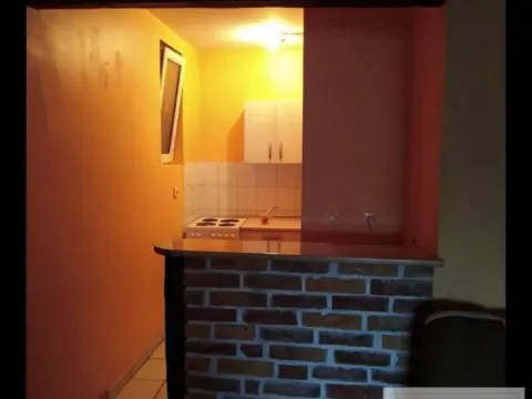 Izdavanje, dvosoban stan, 53m², Grbavica, Novi Sad Sve Podlokacije - image 12