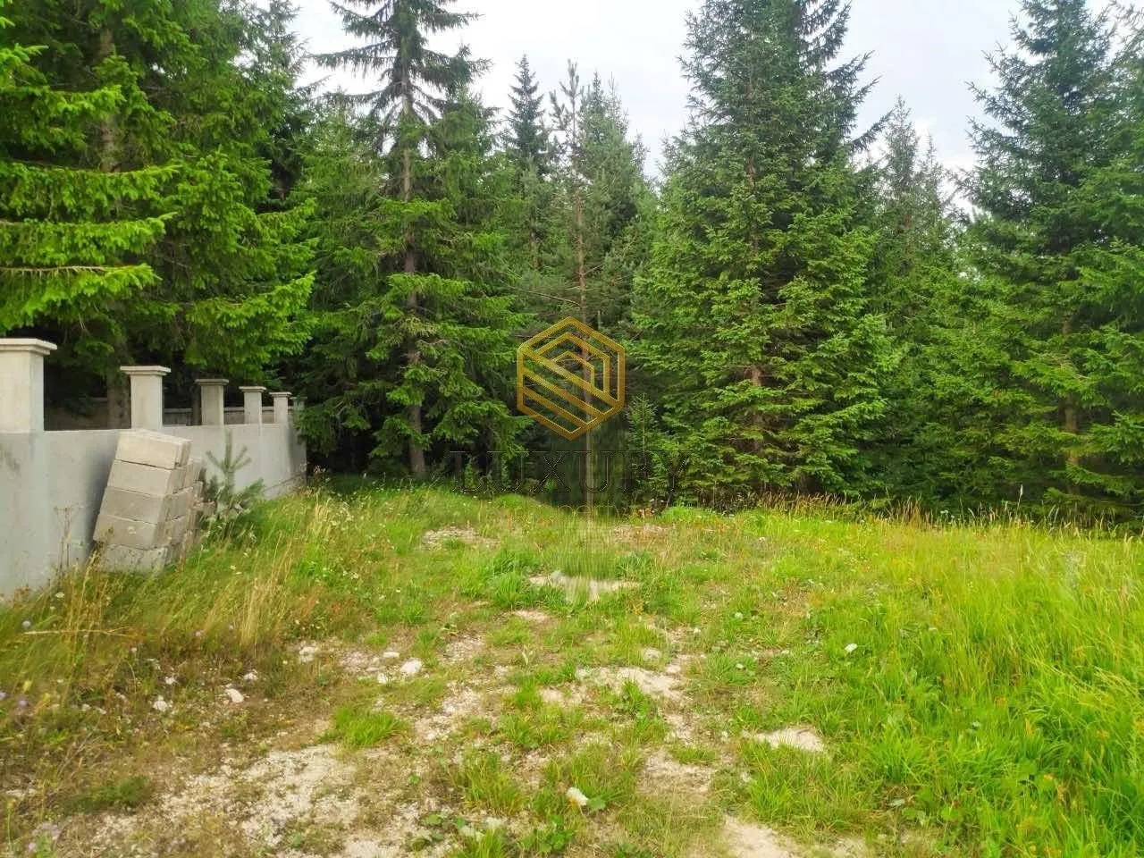 Prodaja, plac, 233m², Centar, Žabljak