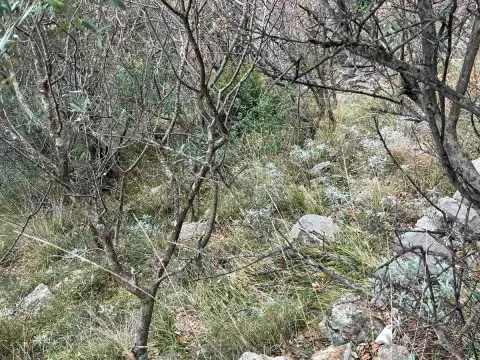 Prodaja, plac, 558m², Herceg Novi, Crna Gora - image 2