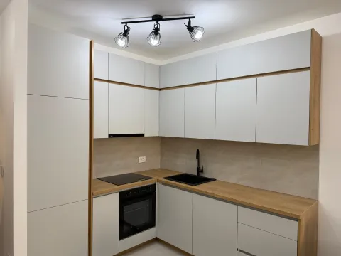 Izdavanje, jednosoban stan, 48m², Stari Aerodrom, Podgorica - image 2