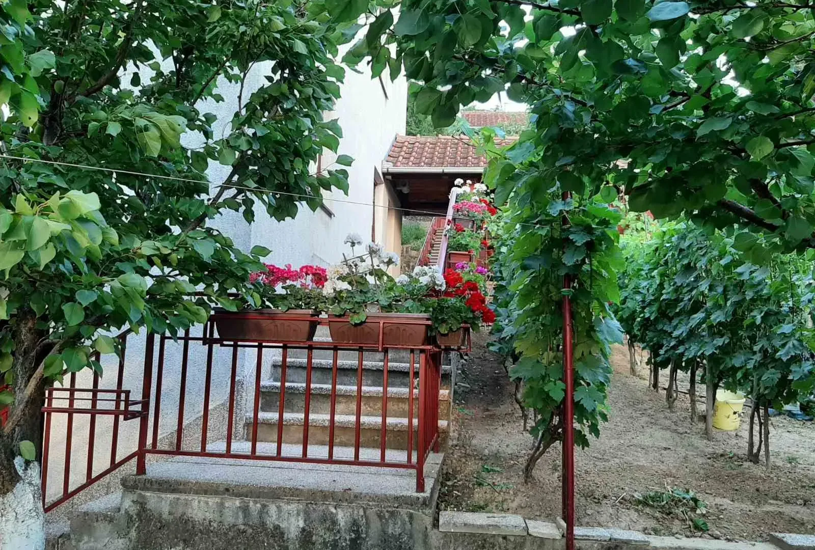 Sale, house, 210m², Sremska Kamenica, Petrovaradin