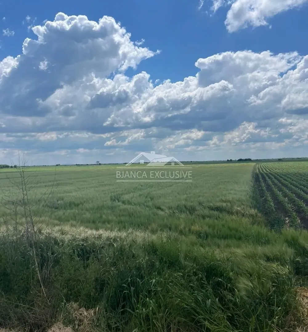 Prodaja, plac, 24200m², Pecinci, Srbija