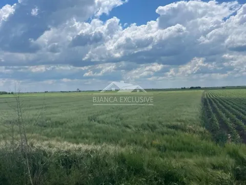 Prodaja, plac, 24200m², Pecinci, Srbija - image 6