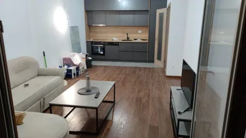 Rent, one bedroom apartment, 51m², Master Kvart, Podgorica - image 4