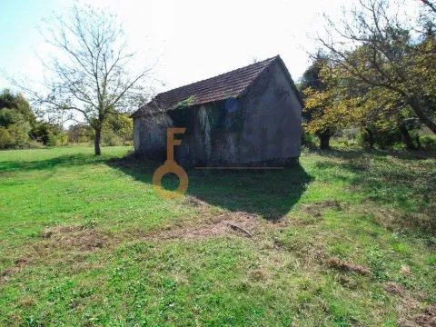 Prodaja, plac, 15000m², Danilovgrad, Crna Gora - image 3