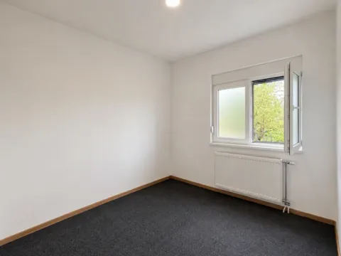 Rent, house, 240m², Zvezdarska Šuma, Zvezdara Sve Podlokacije - image 6
