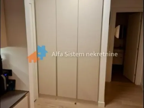 Izdavanje, dvosoban stan, 51m², Savski Venac, Beograd - image 7