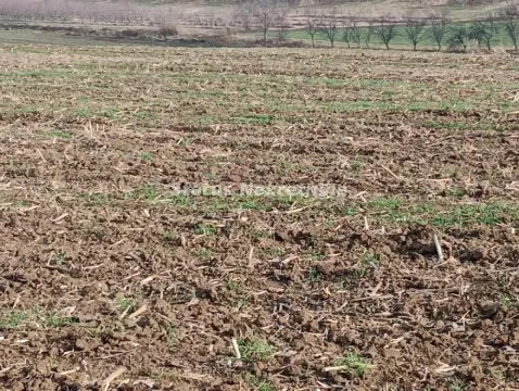 Pogled na prostrano poljoprivredno zemljište. - image 8
