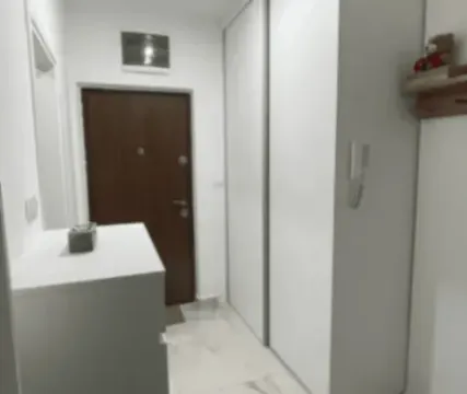 Izdavanje, jednosoban stan, 42m², Tuški Put, Podgorica - image 12