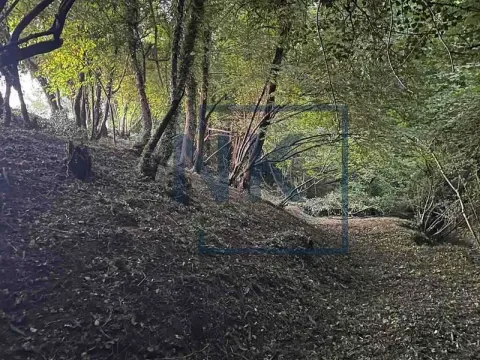 Rent, house, 140m², Velje Brdo, Podgorica - image 19