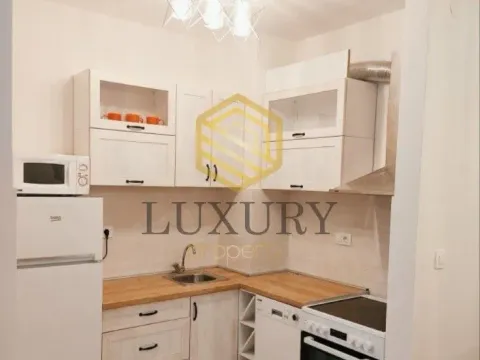 Rent, one bedroom apartment, 43m², Central Point, Podgorica - image 3