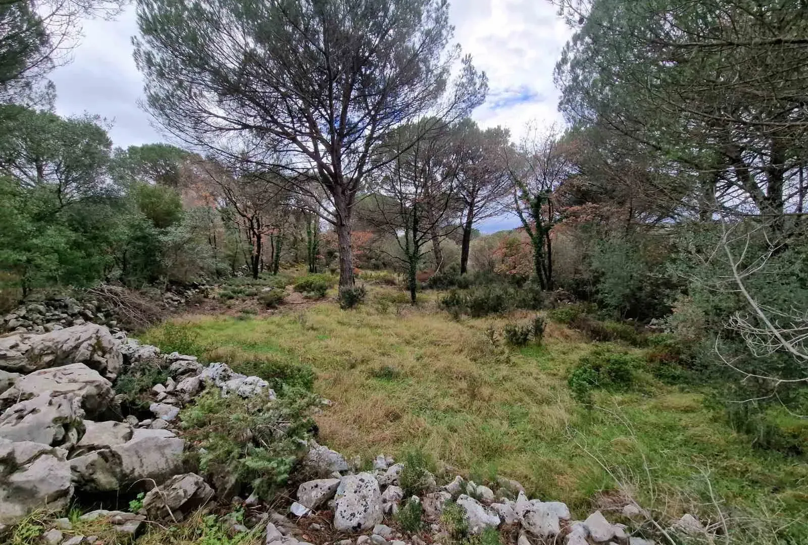 Prodaja, plac, 1150m², Zagora, Kotor