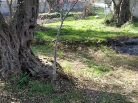 Prodaja, plac, 1057m², Kruče, Ulcinj - image 2