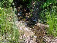 Prodaja, plac, 9814m², Kolašin, Crna Gora - image 13