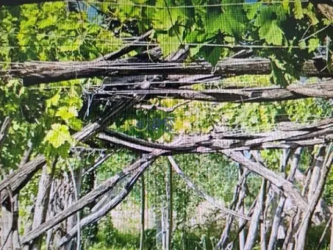 Prodaja, kuća, 150m², Danilovgrad, Crna Gora - image 8