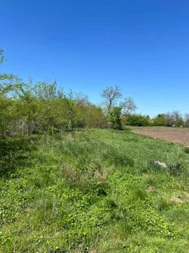 Prodaja, kuća, 94m², Kikinda, Srbija - image 13