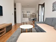 Izdavanje, jednosoban stan, 46m², Zabjelo, Podgorica - image 2