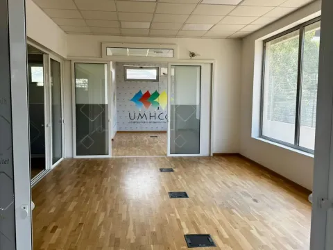 Rent, office space, 180m², Zabjelo, Podgorica - image 5