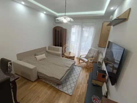 Izdavanje, dvosoban stan, 40m², Rotkvarija, Novi Sad Sve Podlokacije - image 10