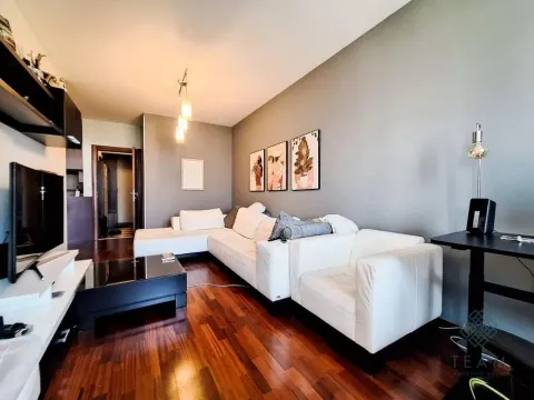 Izdavanje, jednosoban stan, 55m², Preko Morače, Podgorica - image 3