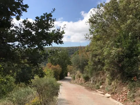 Pristupni put okružen zelenilom i drvećem. - image 8