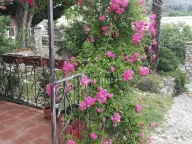 Prodaja, kuća, 60m², Sutomore, Bar - image 24