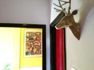 Prodaja, jednosoban stan, 34m², Stari Grad, Beograd - image 10