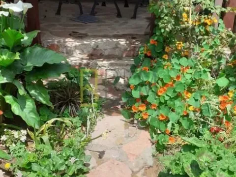 Prodaja, kuća, 395m², Čanj, Bar - image 5