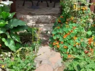 Prodaja, kuća, 395m², Čanj, Bar - image 5