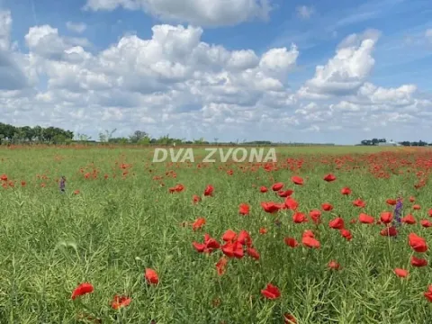 Sale, house, 37m², Čenej, Novi Sad Sve Podlokacije - image 20