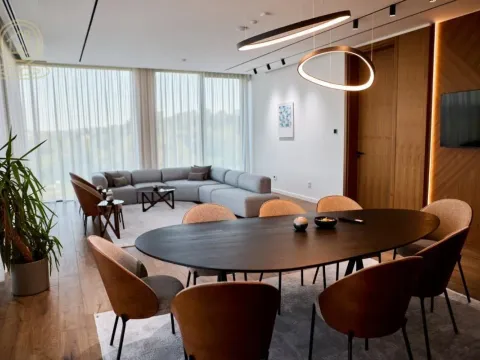 Izdavanje, poslovni prostor, 570m², Petrovaradin, Novi Sad - image 14