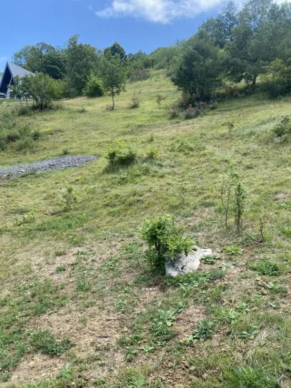 Prodaja, plac, 17000m², Plužine, Crna Gora