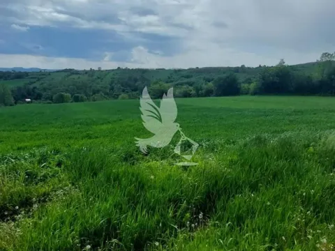 Sale, land lot, 4000m², Koraćica, Mladenovac - image 3