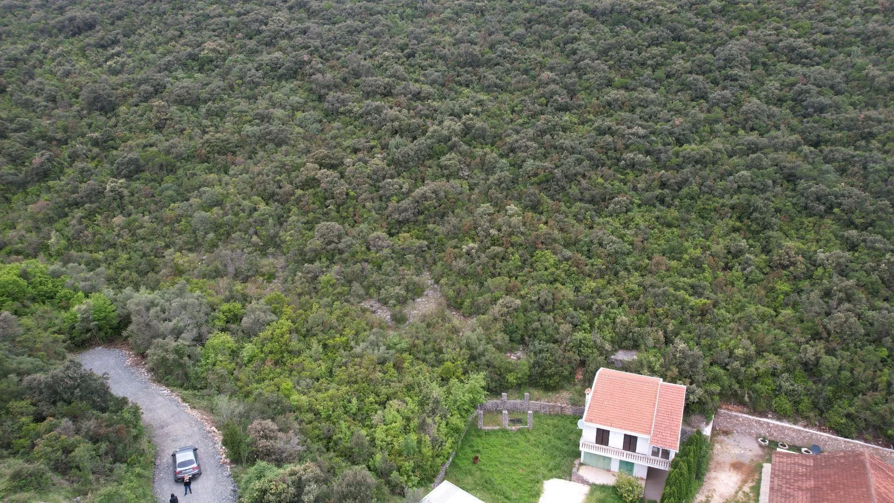 Prodaja, plac, 3585m², Krimovica, Kotor