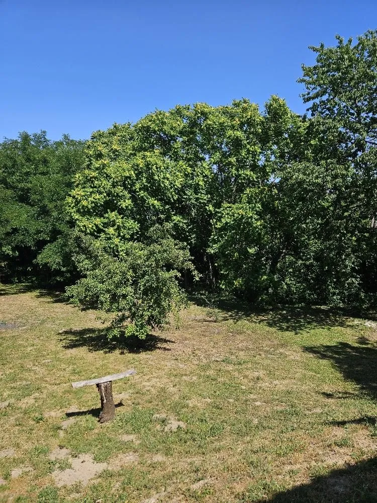 Prodaja, plac, 5000m², Stari Slankamen, Inđija