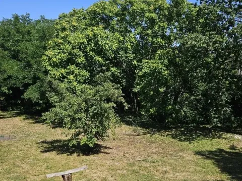Sale, land lot, 5000m², Stari Slankamen, Inđija - image 7