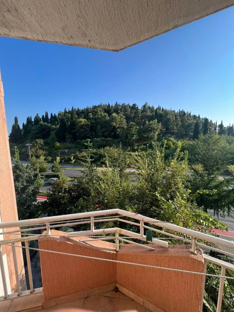 Pogled sa terase na zeleno brdo i okolinu.