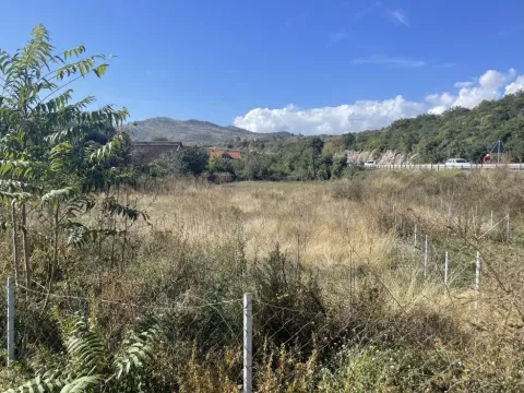 Zemljište in Farmaci