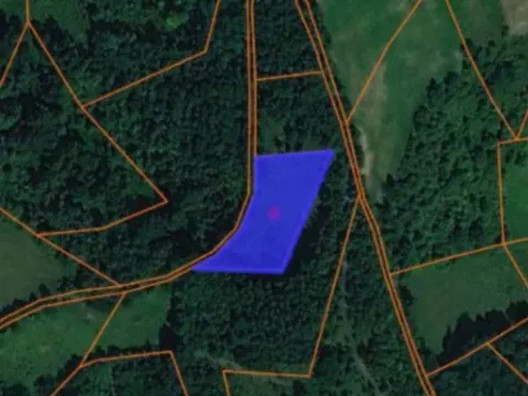 Sale, land lot, 70000m², Trudelj, Gornji Milanovac - image 5