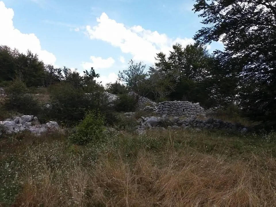 Prodaja, plac, 20000m², Cetinje, Crna Gora