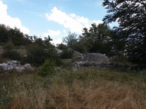 Prodaja, plac, 20000m², Cetinje, Crna Gora - image 8