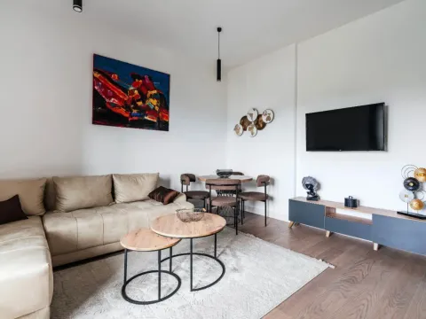 Rent, one bedroom apartment, 44m², Bečići, Budva - image 10