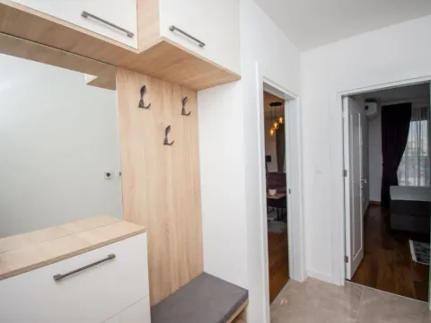 Izdavanje, jednosoban stan, 50m², Tološka šuma, Podgorica - image 13